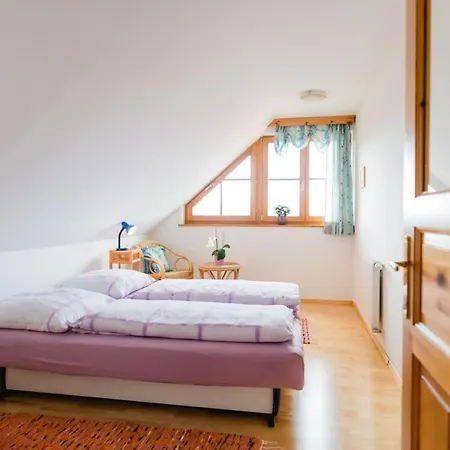 منزل ريفي Stiegelbauer Zirbe